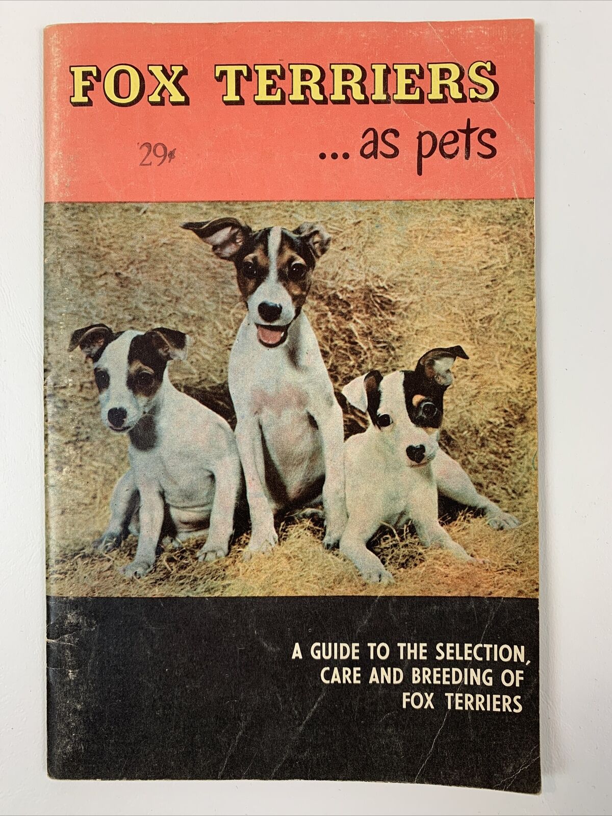Vintage 1955 Fox Terriers As Pets Booklet Madeline Miller Pet Care Breeding 