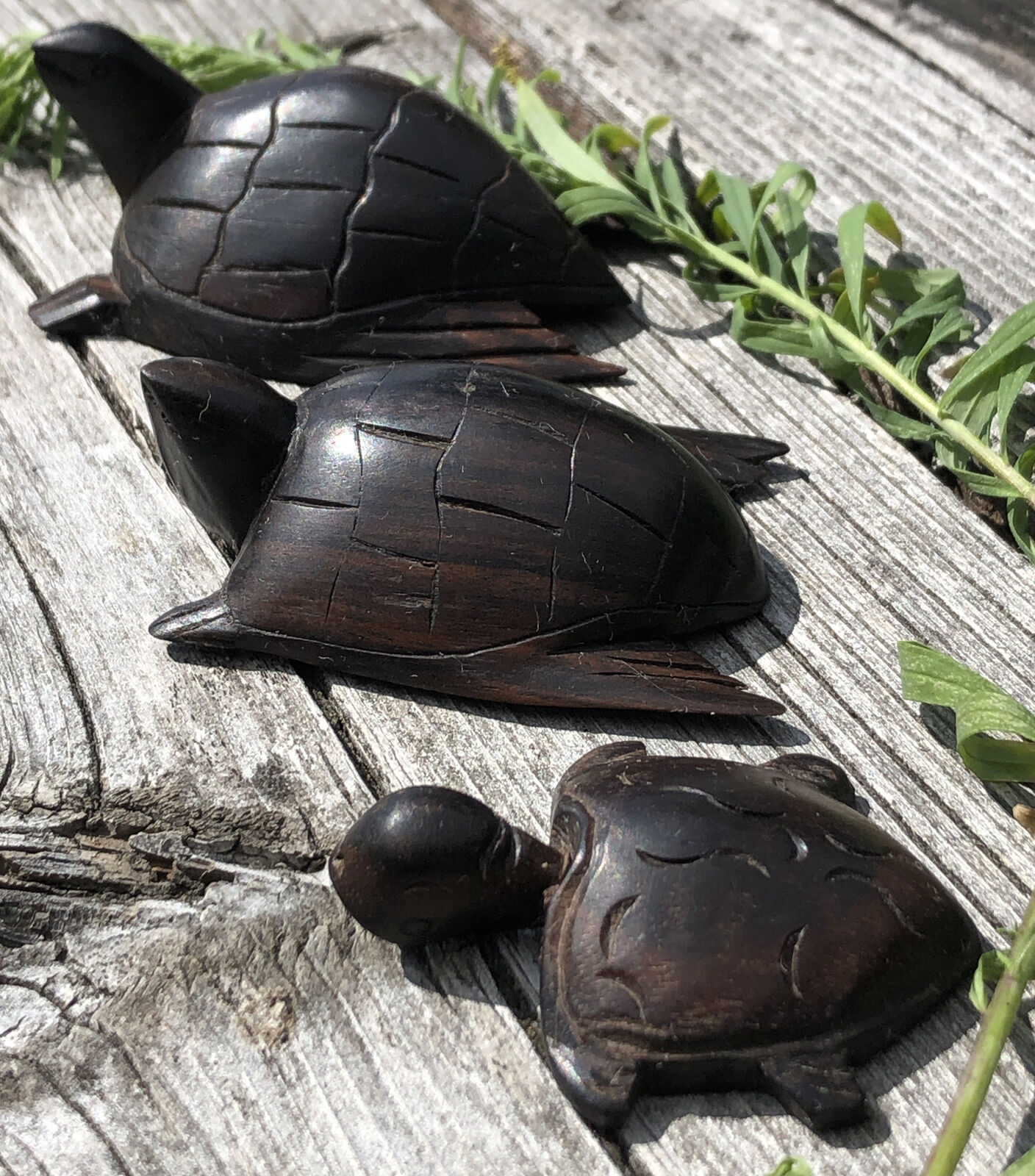 3 Vintage Iron Wood Sea Turtles Tortoise Family Hand Carved Dark Finish