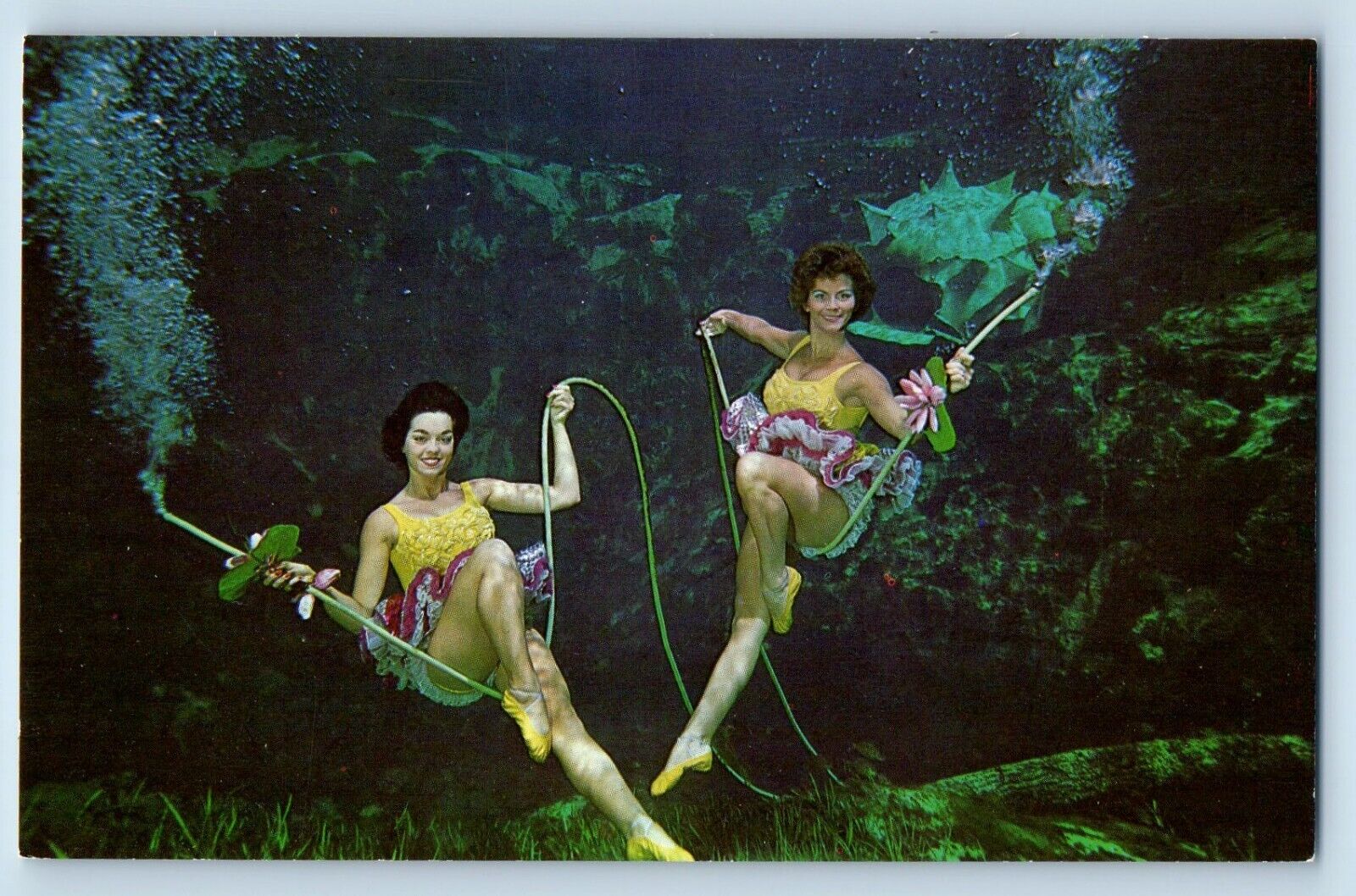 Weeki Wachee Florida FL Postcard Underwater Grand Canyon Theatre c1960 Vintage