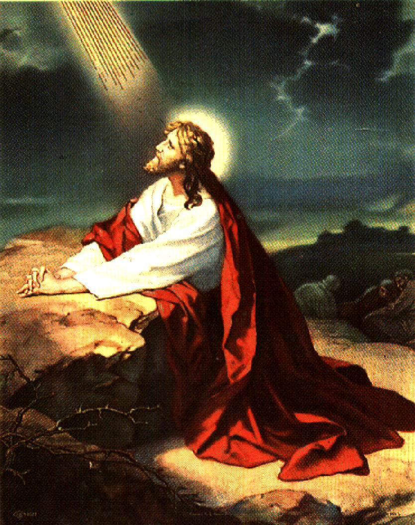 JESUS CHRIST GOD PRAYING IN THE GARDEN OF GETHSEMANE 8.5X11 PHOTO PICTURE POSTER