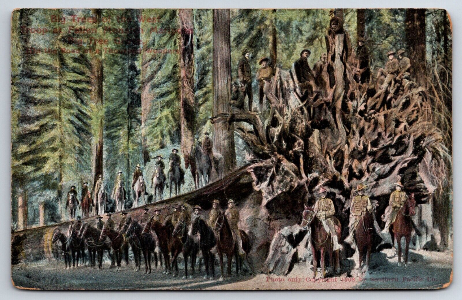 c1908 Troop At Fallen Monarch Mariposa Big Trees Of The West California Postcard