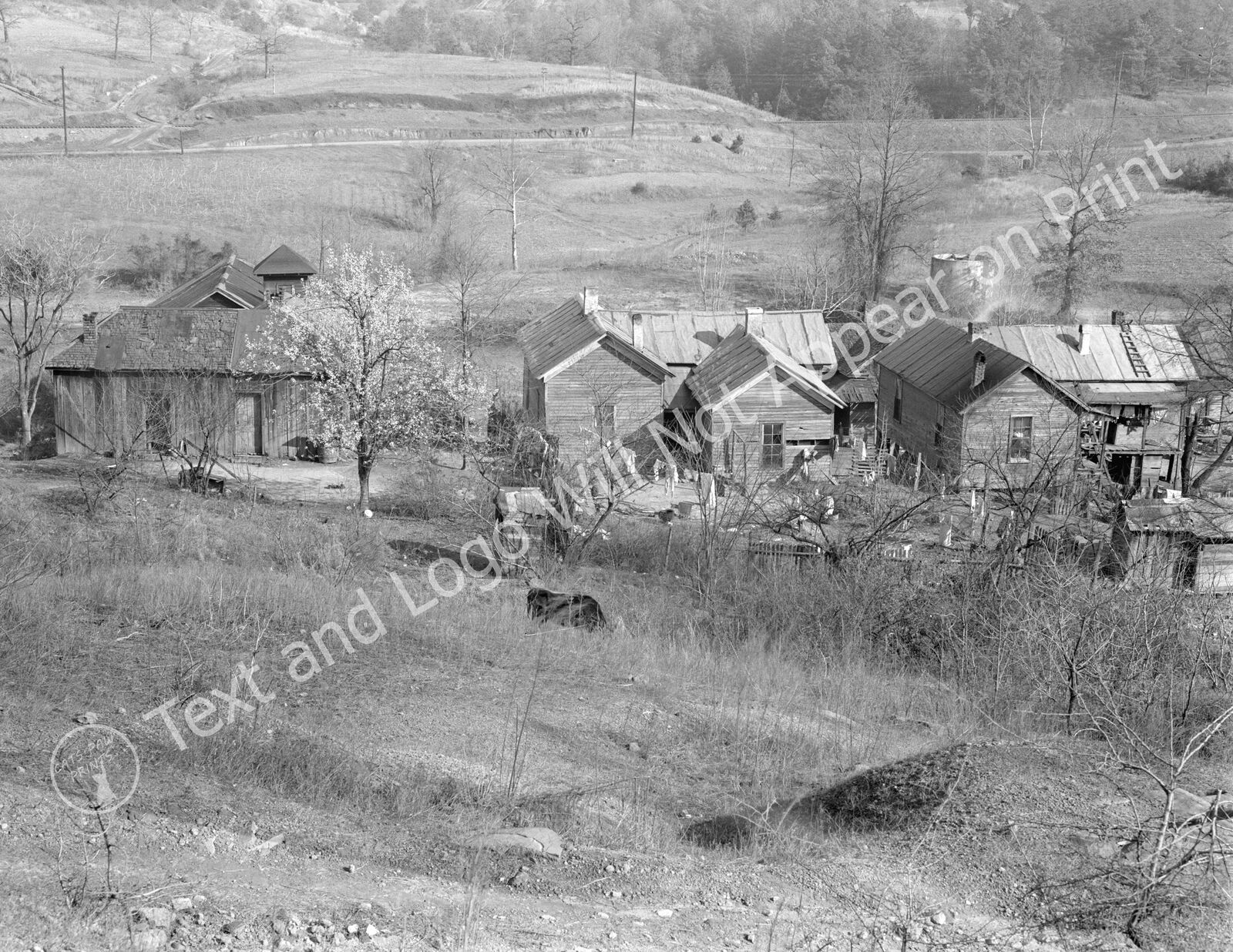 1937 Rural Slum Area Near Birmingham, Alabama Old Photo 8.5\