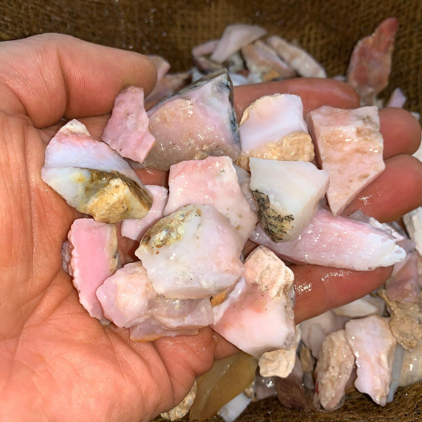 500 Carat Lots of Very High End (SMALL) Pink Opal Rough+ a FREE Faceted Gemstone