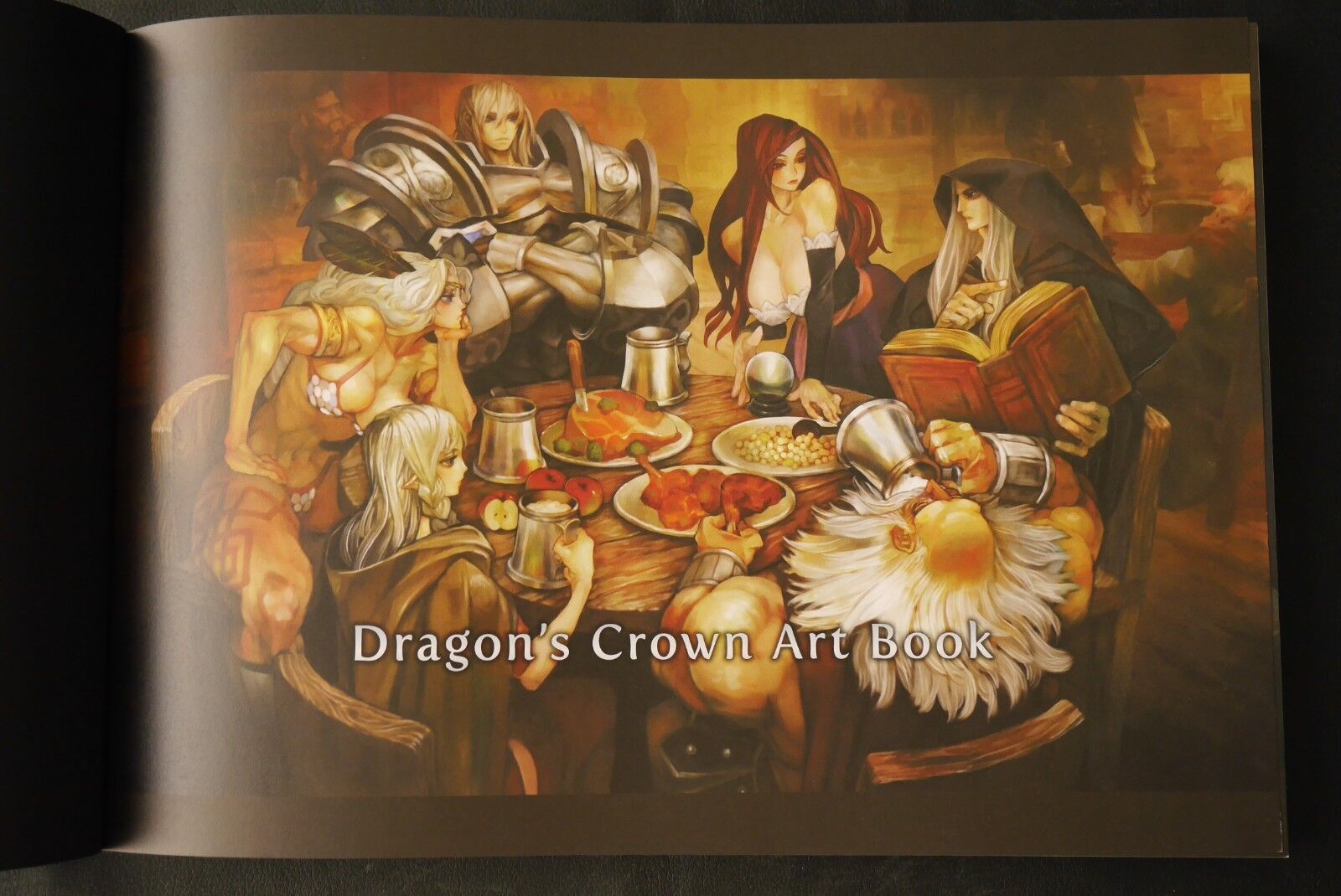 JAPAN Dragon\'s Crown Art Book