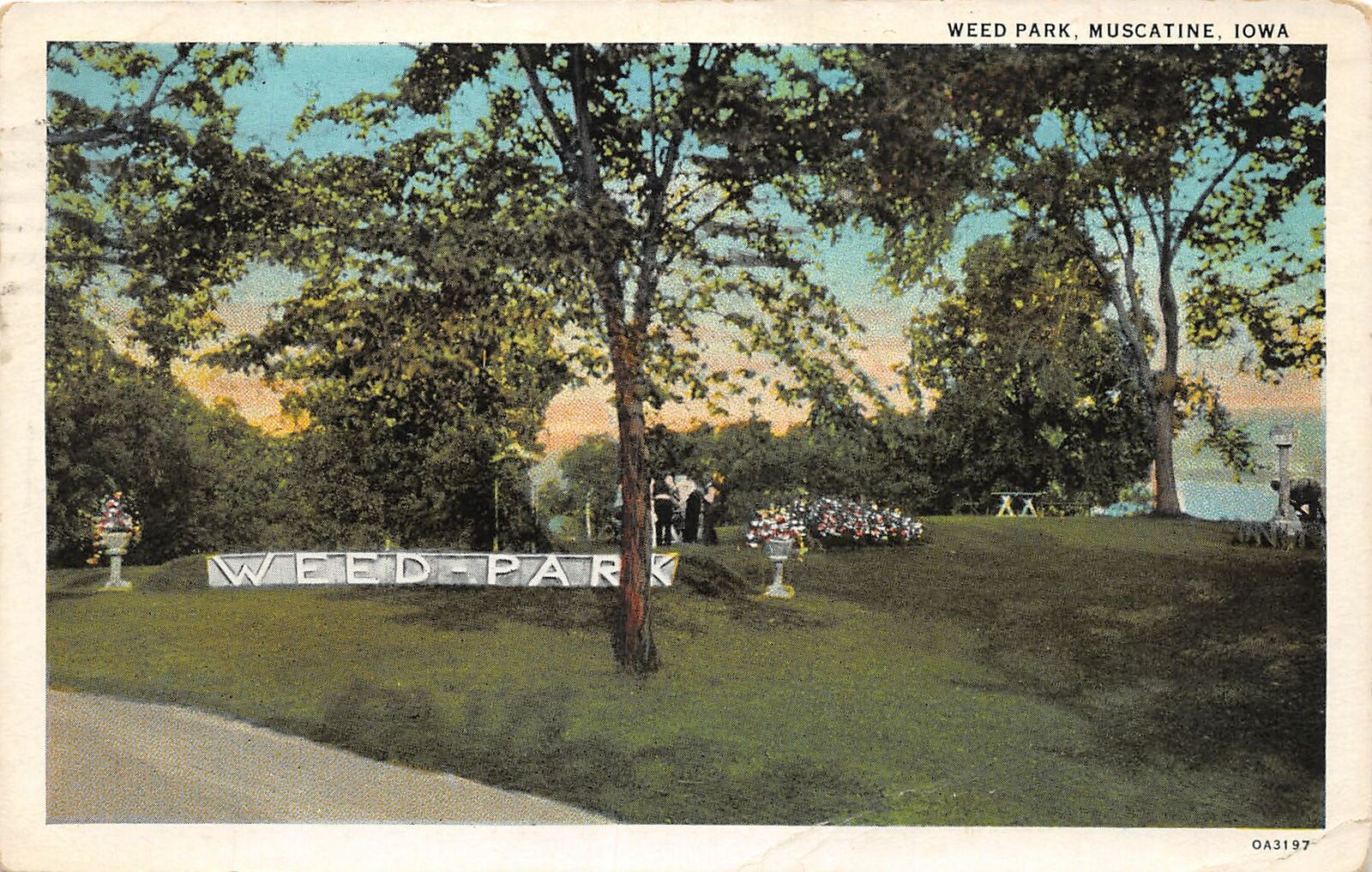 H99/ Muscatine Iowa Postcard c1930 Weed Park Scene 137