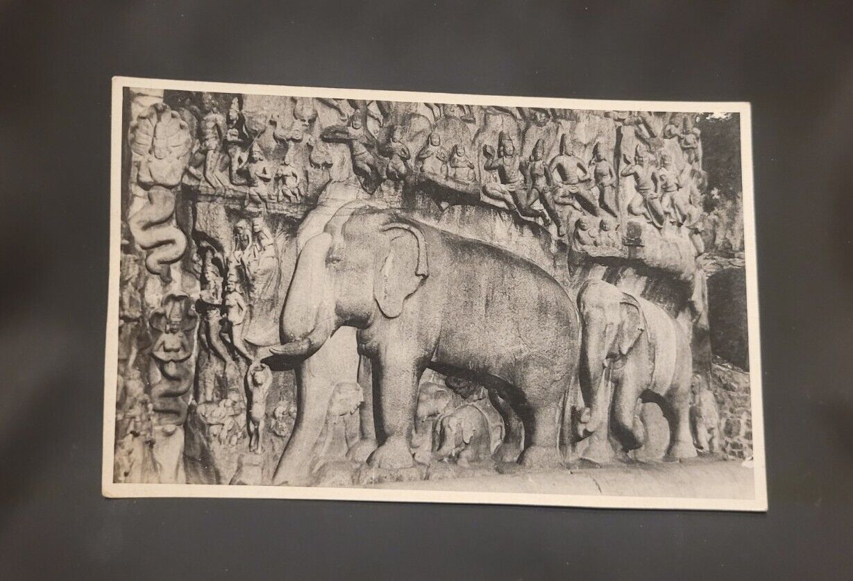 Mahabalipuram Shore Temple RPPC AGFA Tamil Nadu India Vintage - Stone Elephant 