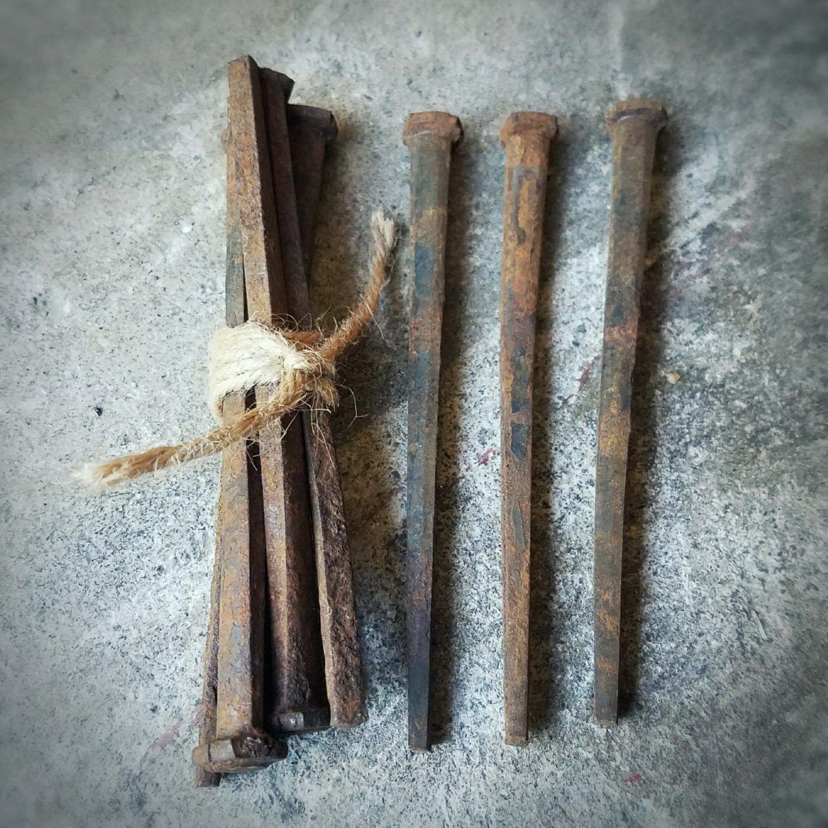 LARGE Antique Coffin Nails, Square Nails, Oddities & Curiosities, 4 1/2 Inches