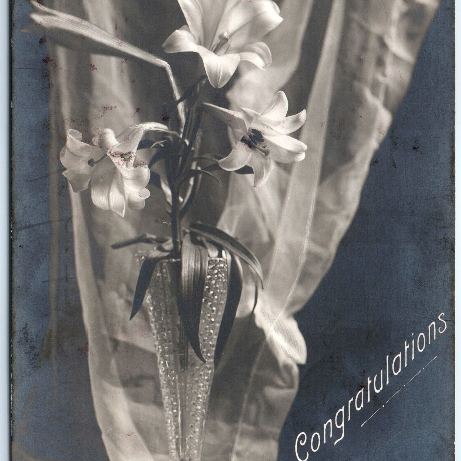 1906 Congratulations Rotograph Co RPPC Flower Lily in Vase UDB Postcard A106