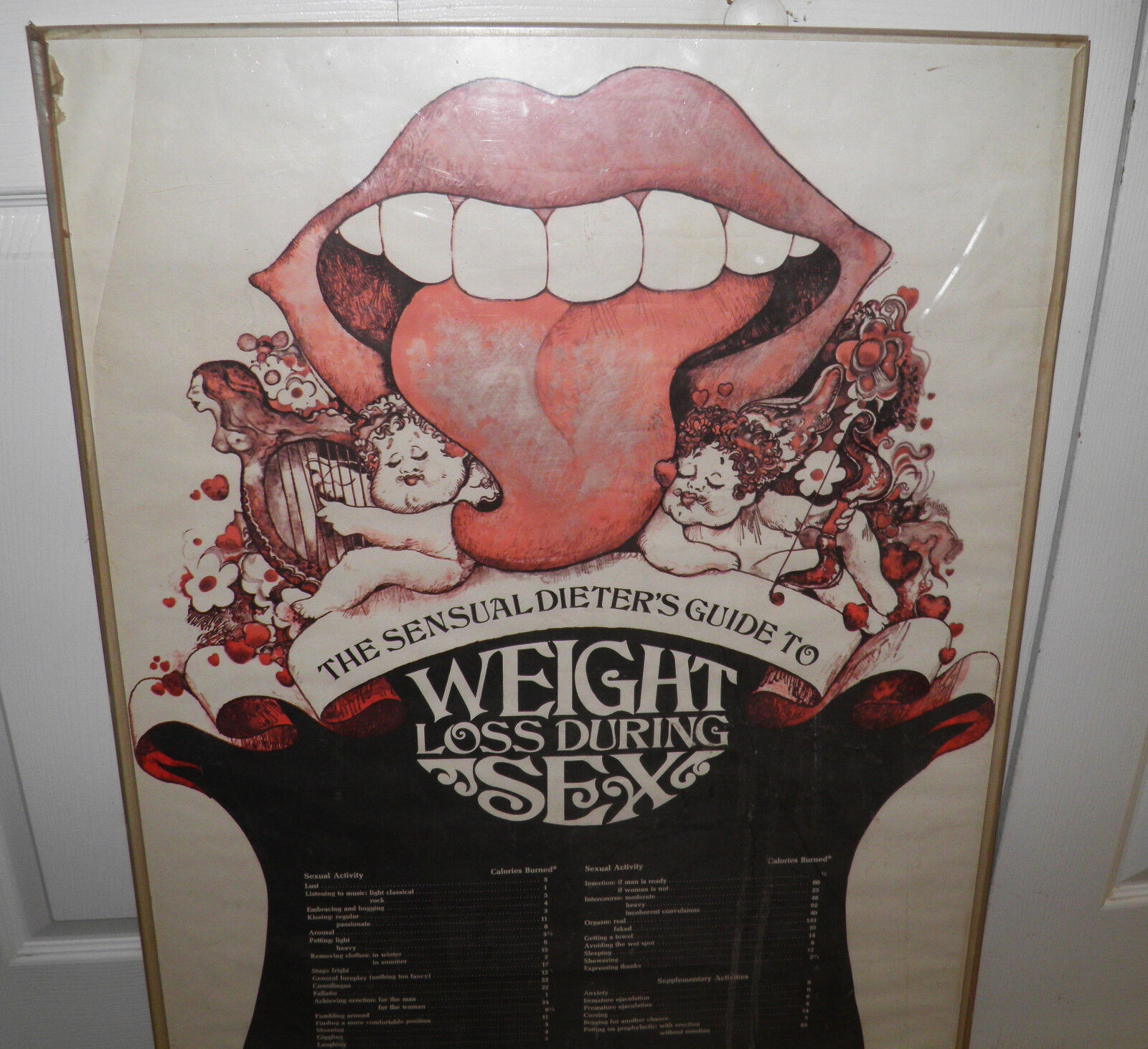 Super Rare Vintage \'72  Sensual Dieters Guide to Weight Loss USA Litho 24x36\