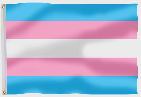 Transgender Pride Flag LGBT Flag Transsexual Flags 90X150cm Flags 2 Eyelets