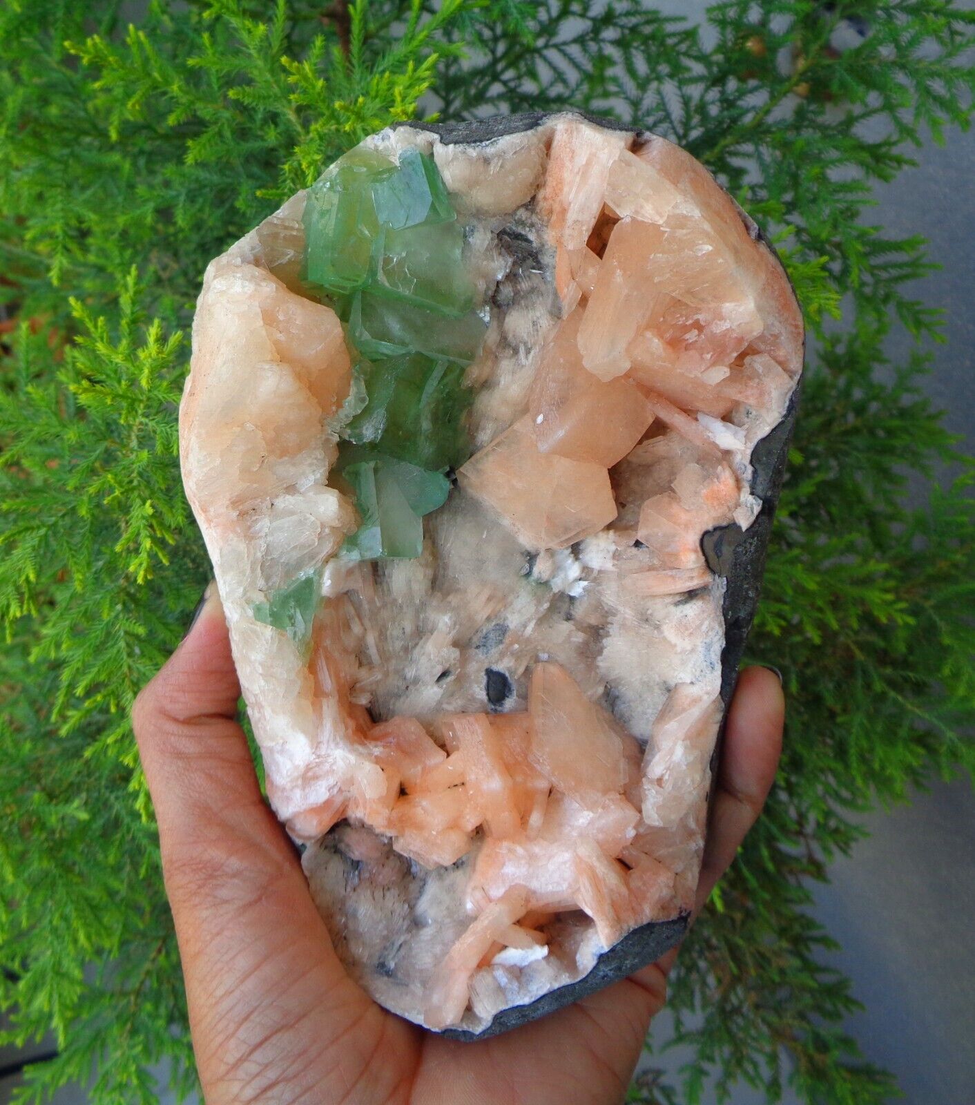 Green Apophyllite Crystals w/ Stilbite In Geode Minerals Specimen #F52