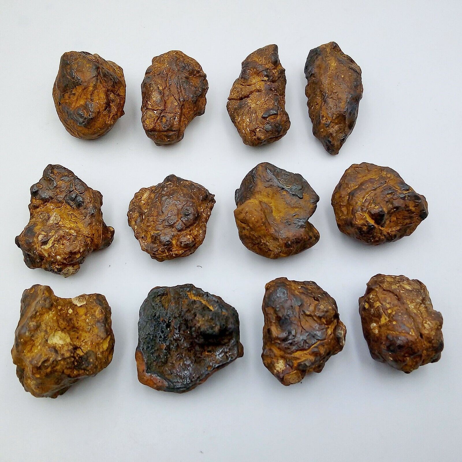 12 Pcs. 326 Grams Wholesale Lot Set Collectible Nantan Iron Nickel Meteorite