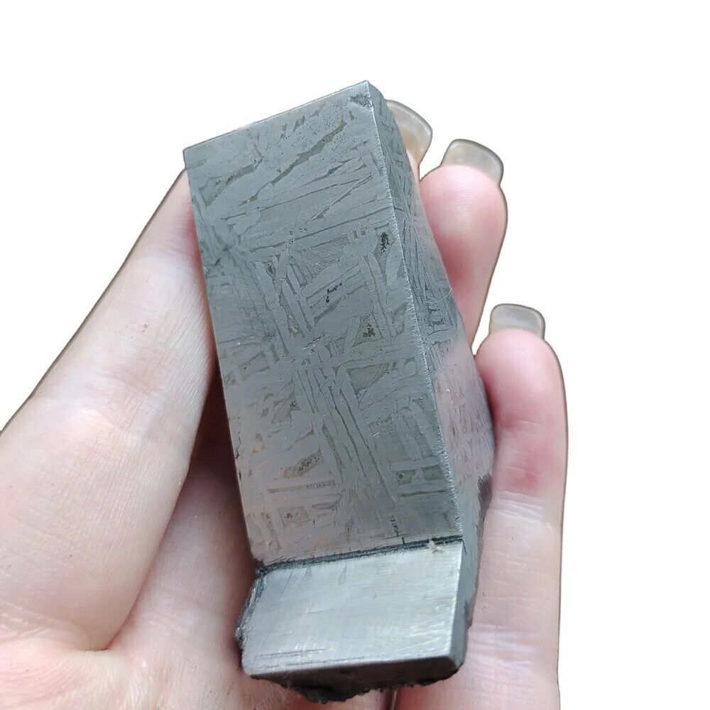 120g Muonionalusta meteorite slice TC80
