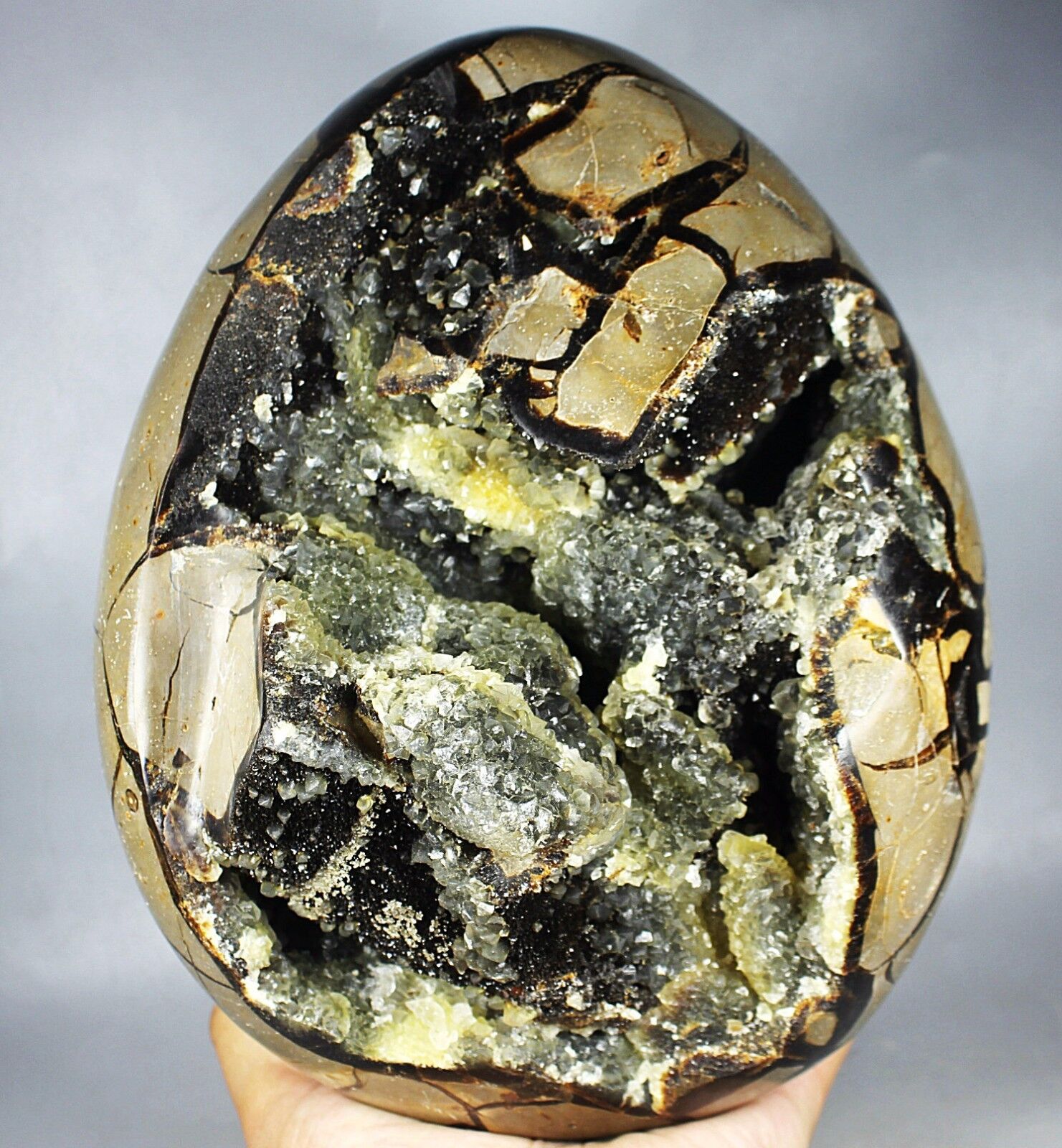 13.64lb Septarian Dragon Calcite Crystal Gem geode Mineral Specimen