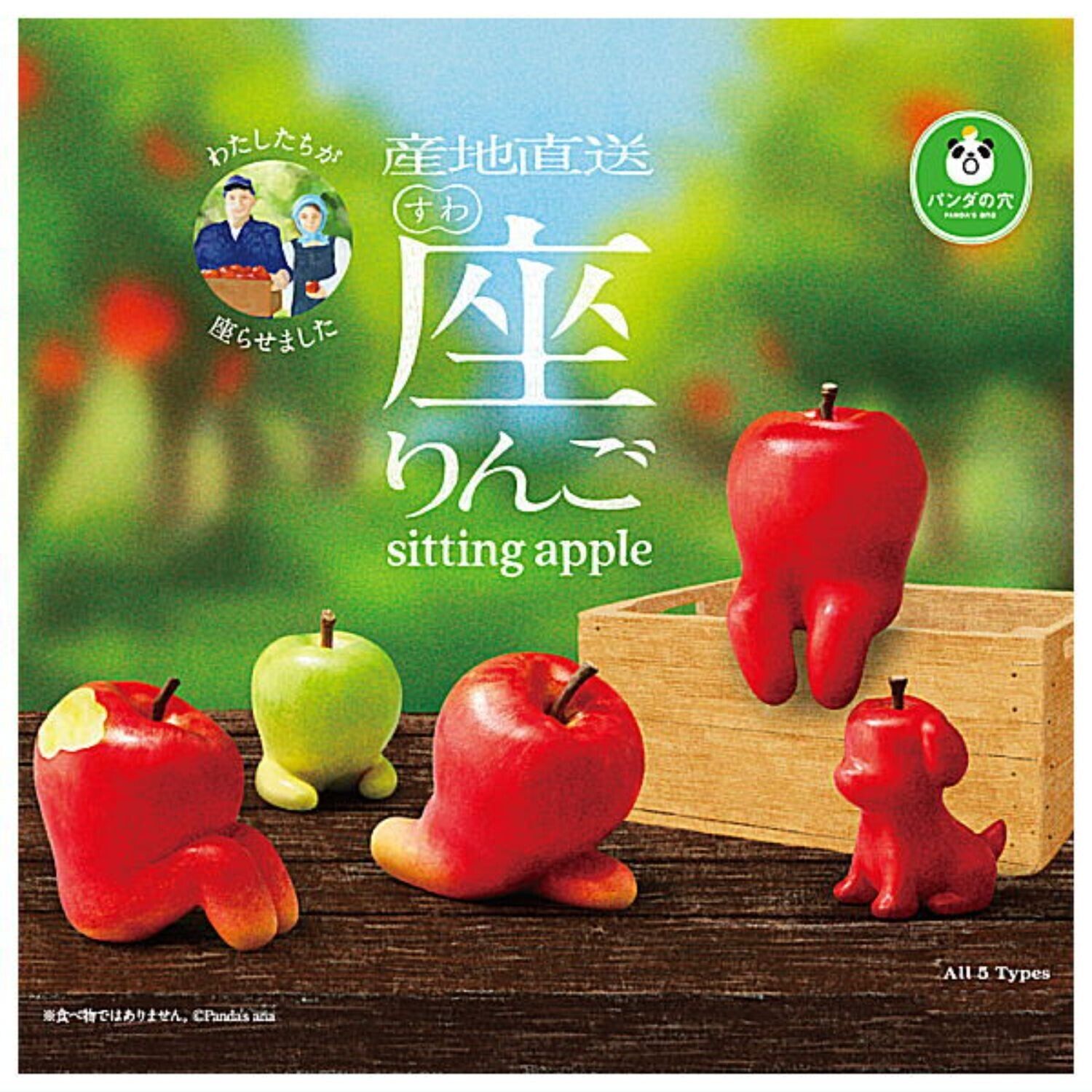 Panda's ana Suwaringo Mascot Capsule Toy 5 Types Full Comp Set Gacha New Japan