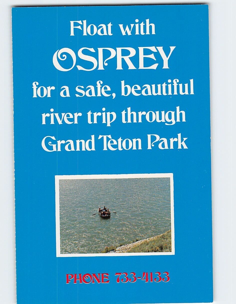 Postcard Osprey Grand Teton Park Moose Wyoming USA