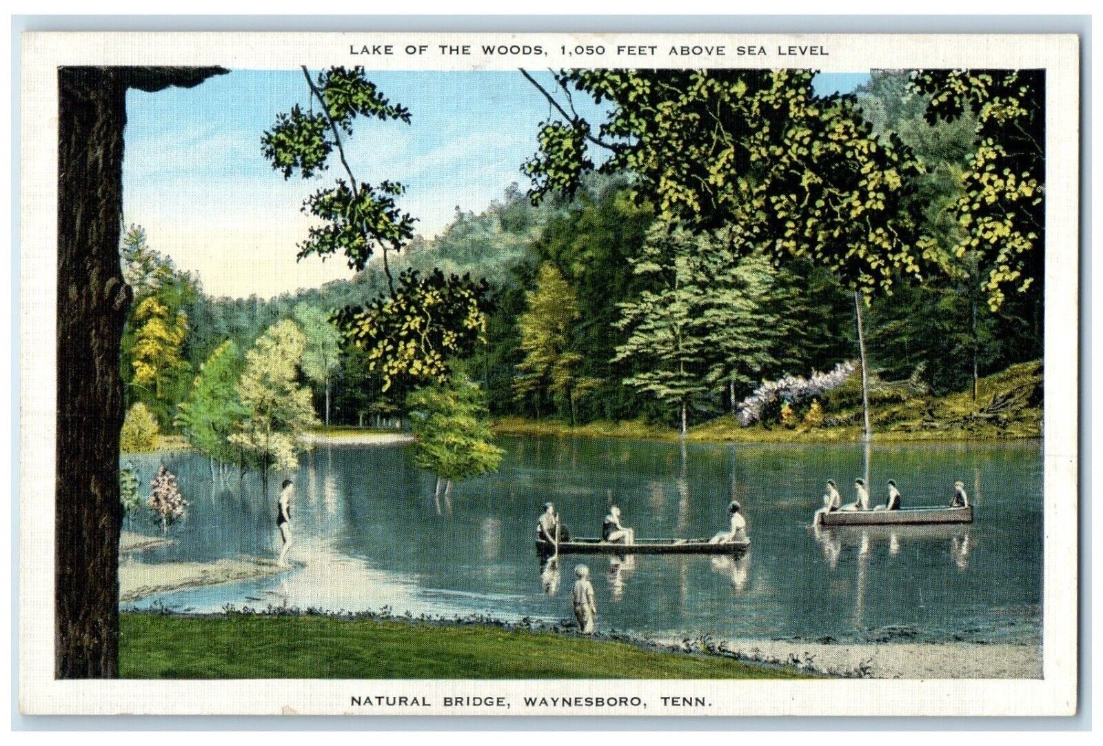 c1940 Lake Woods Above Sea Level Natural Bridge Waynesboro Tennessee TN Postcard