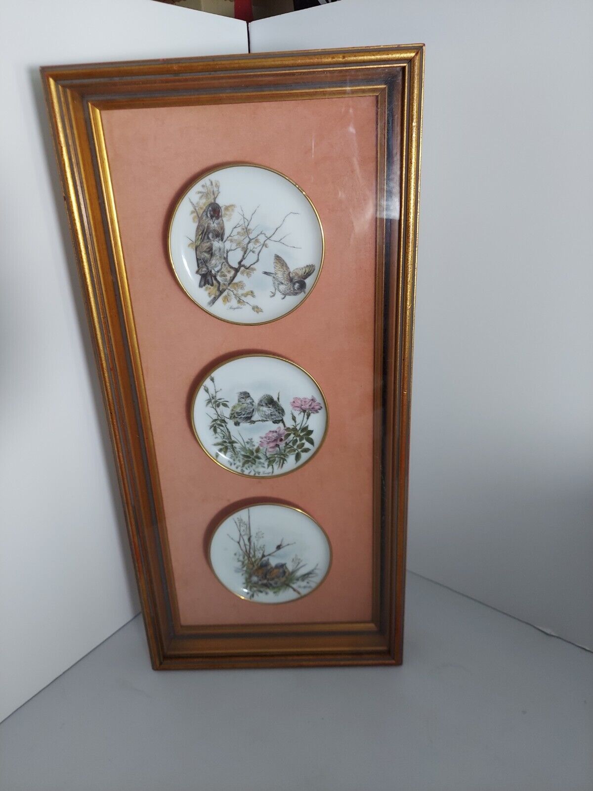 VTG-Gloria Bayreuth Bavarian Porcelain Plates Birds,all different in wood frame