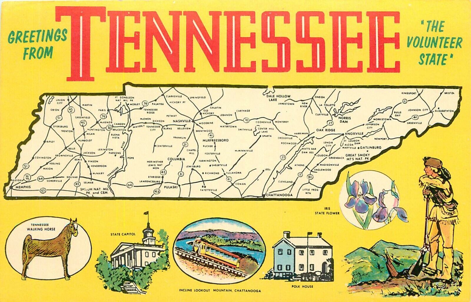 Tennessee TN Volunteer State Map Greetings Postcard