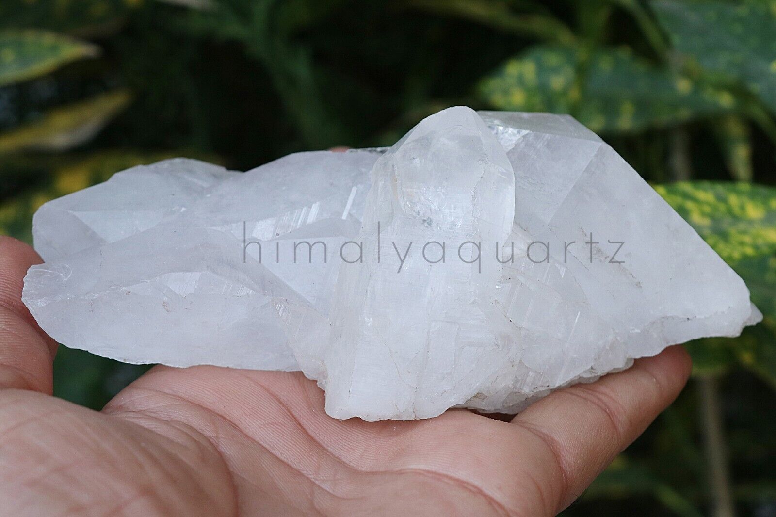 Home decorative and meditation healing minerals white quartz 398 gram Specimen