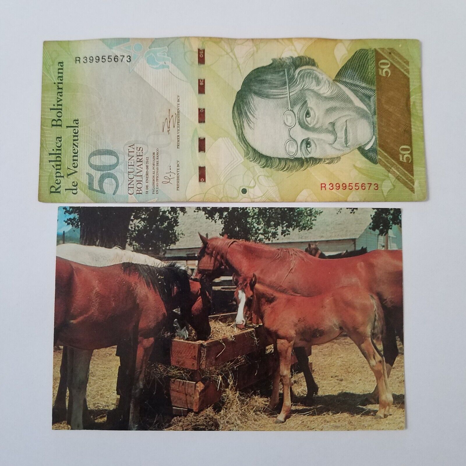 The Curious Colt-Horses Eating Out Of Hay Bunk 50 Venezuela bolivar currency JJ