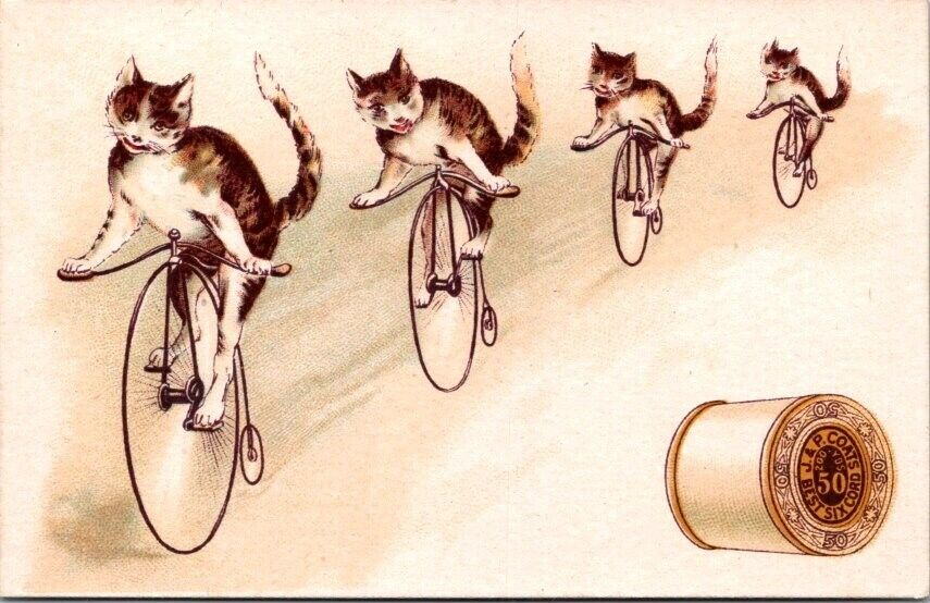 Coats Anthropomorphic Cats Penny Farthing High Wheel Bicycles E W Staples HQV1
