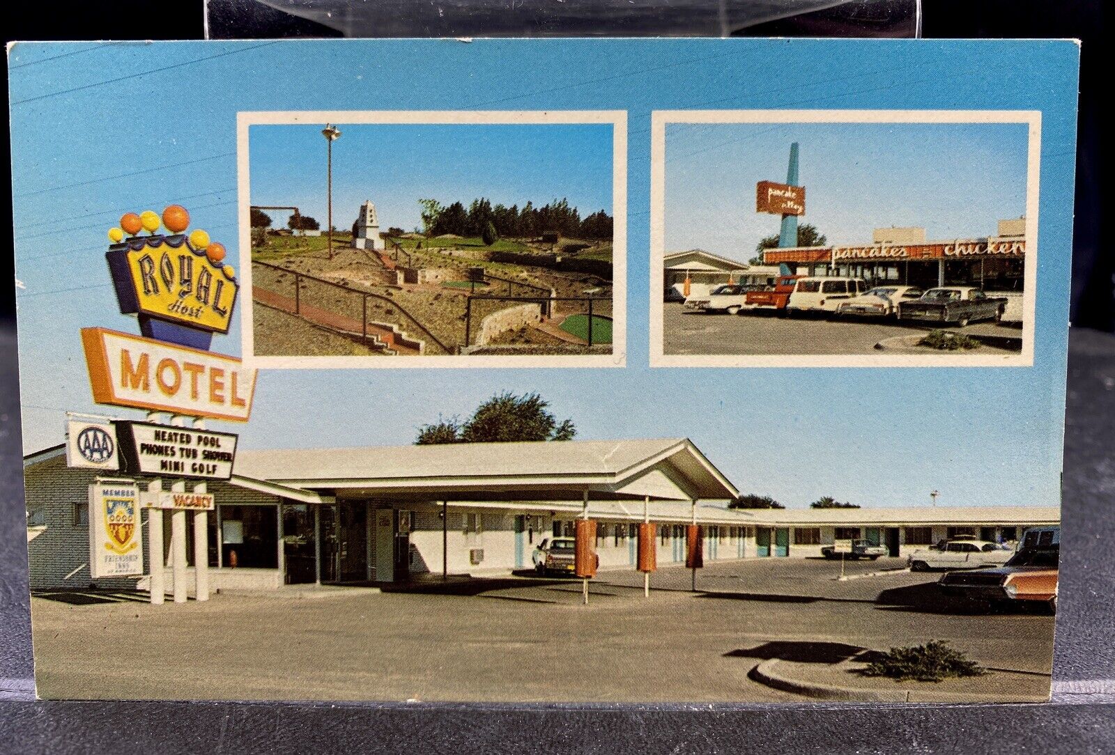 New Mexico Postcard ROYAL HOST Hotel Roadside LAS CRUCES Chrome c1960s