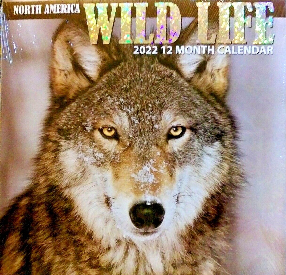 2022 WILDLIFE WALL CALENDAR ORGANIZER DAY PLANNER DEER WOLF BEAR OWL PIC FREE SH