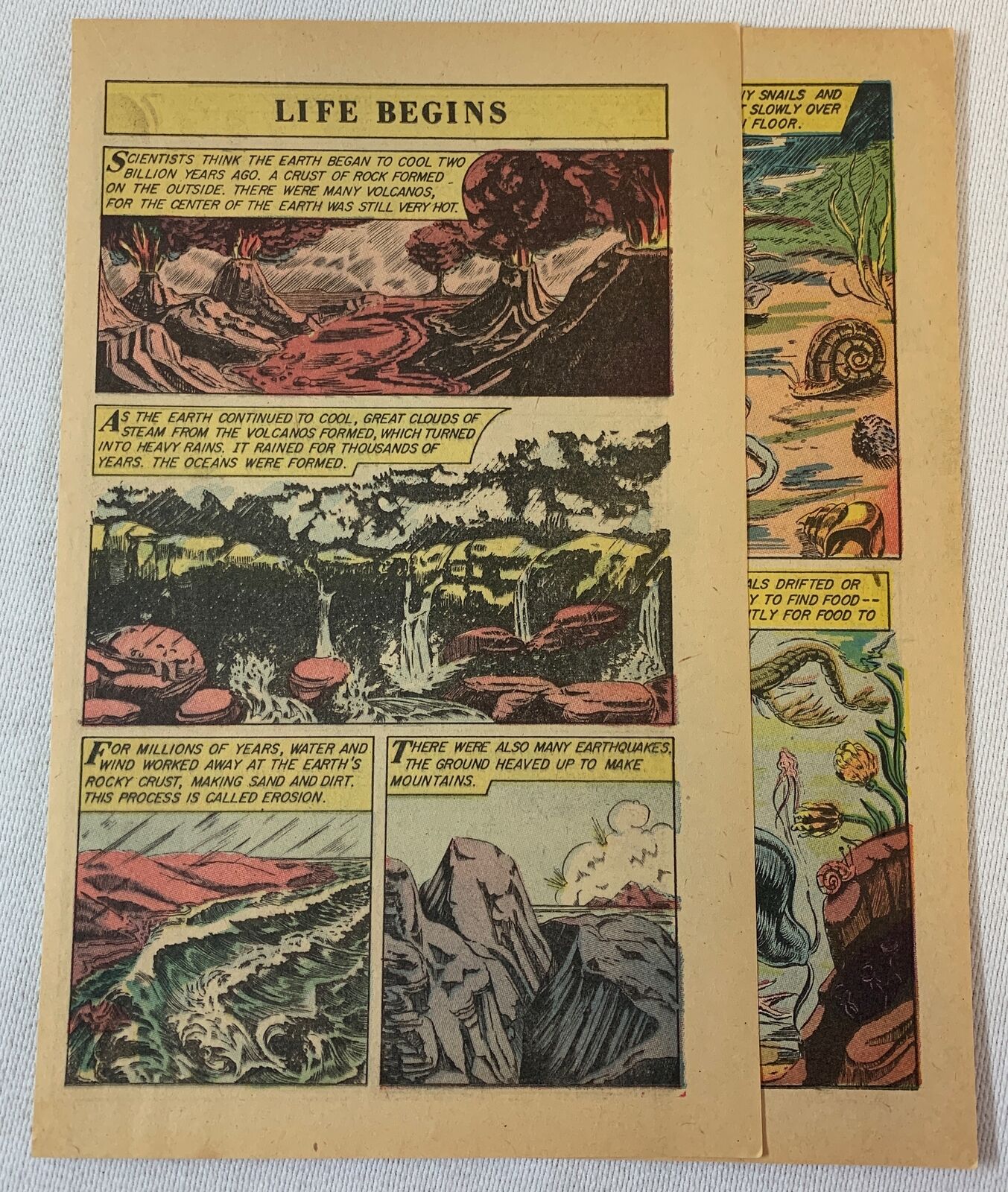 1959 four page cartoon story ~ BEGINNING OF LIFE ON EARTH