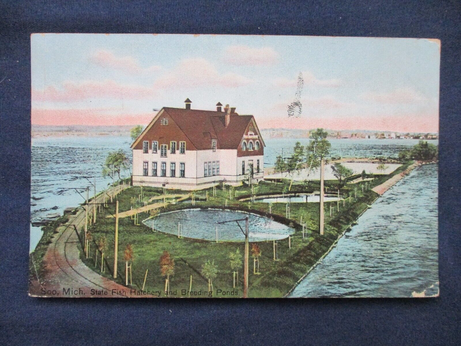 1907 Soo Michigan State Fish Hatchery & Breeding Ponds Postcard