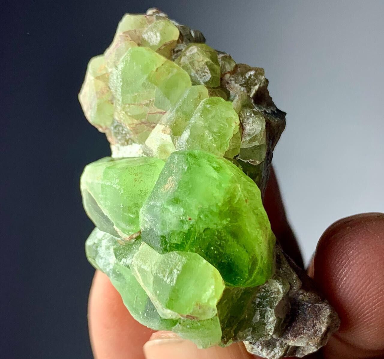 164 Cts Terminated Peridot Crystals Bunch specimen from Skardu Pakistan