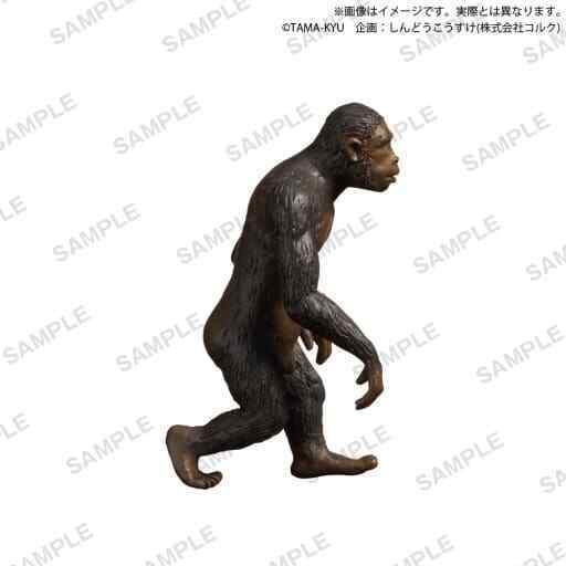 Trading Figure Ape Man Tama-Kyu Human Evolution