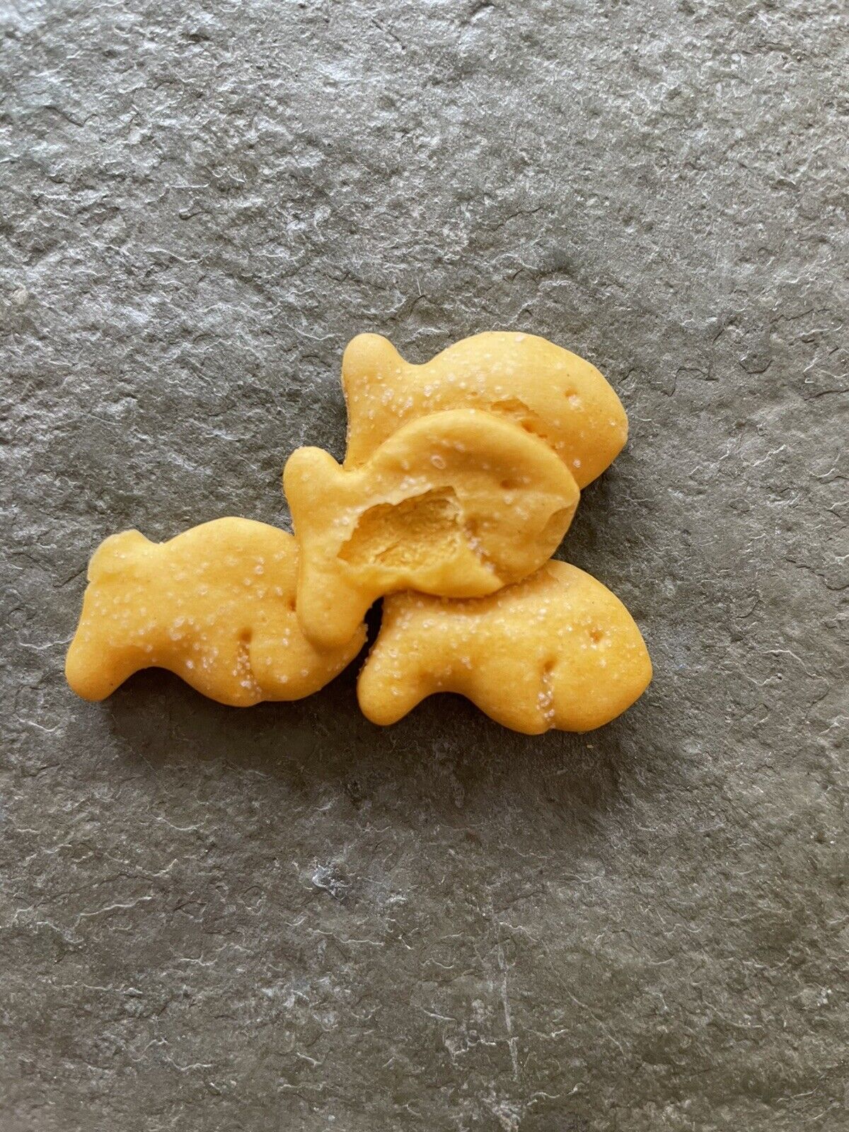 Rare 4 Goldfish Cheddar Crackers Stuck Together. Clump. School Of fish