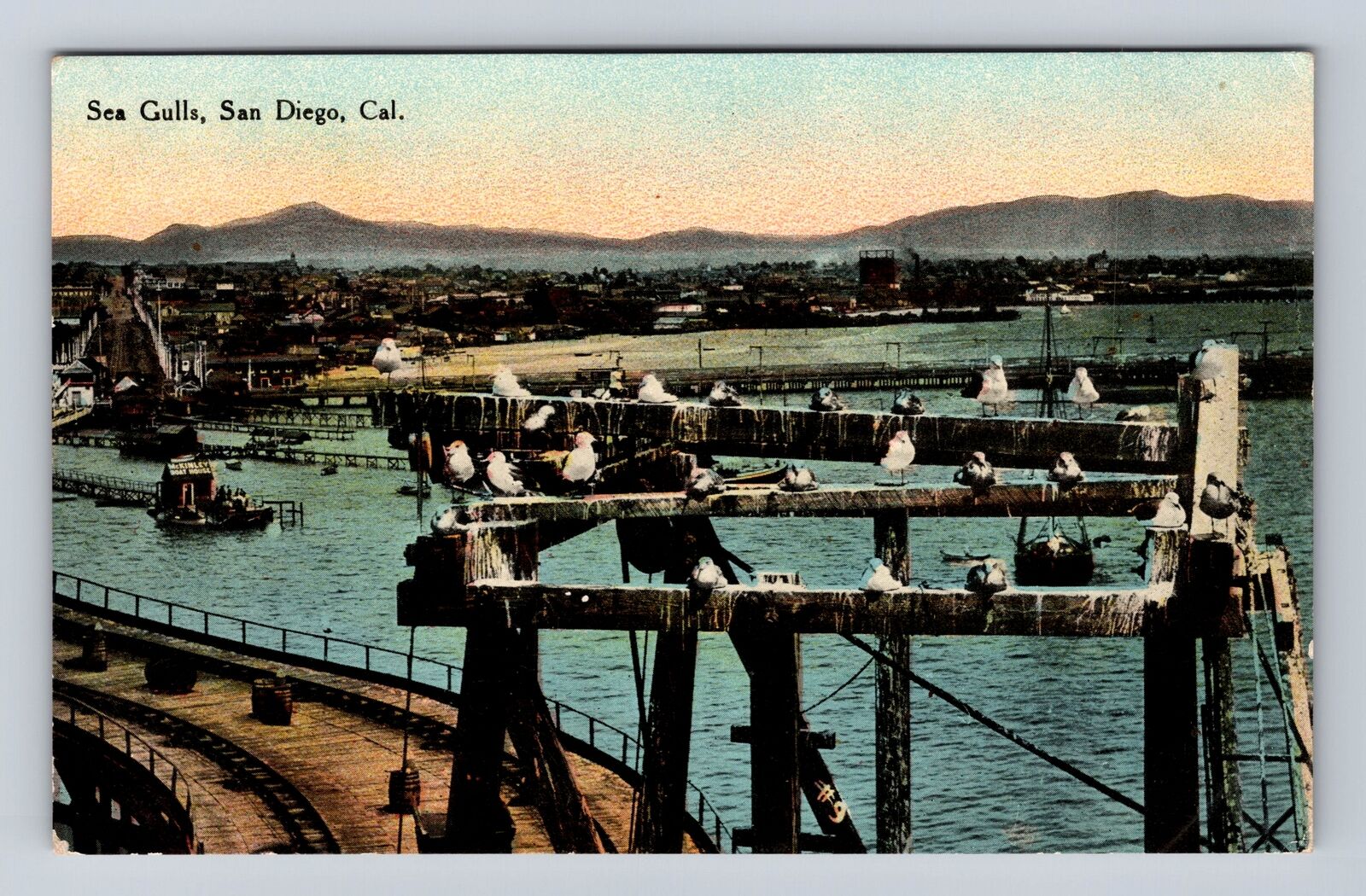 San Diego CA-California, Sea Gulls, Bay And Dock Scene, Antique Vintage Postcard