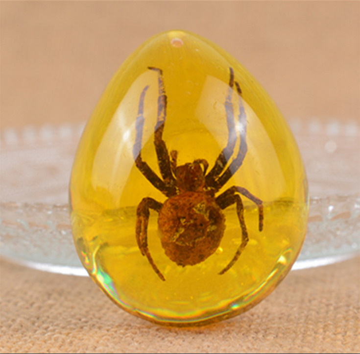 1PC Beautiful Amber Spider Fossil Insects Manual Polishing Drop Shape ·