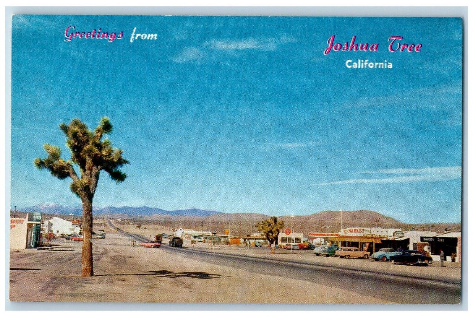 Joshua Tree California CA Postcard Picturesque Little Village Desert Area c1960