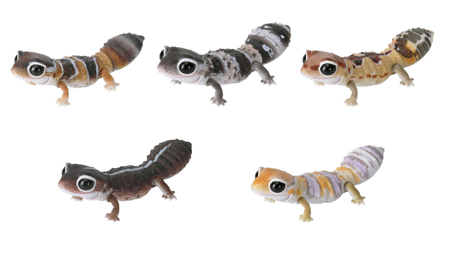 The Diversity of Life on Earth African Fat-Tailed Gecko Bandai Toys set of 5