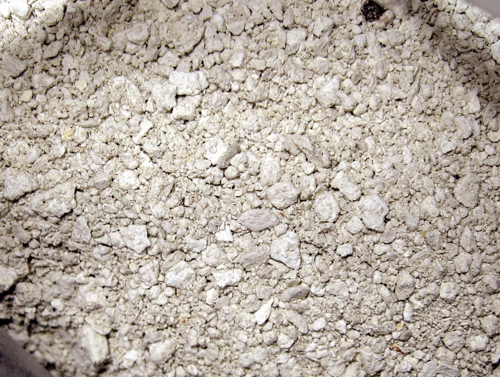 Diatomite Miocene Calvert Formation diatom microfossil matrix sample Virginia