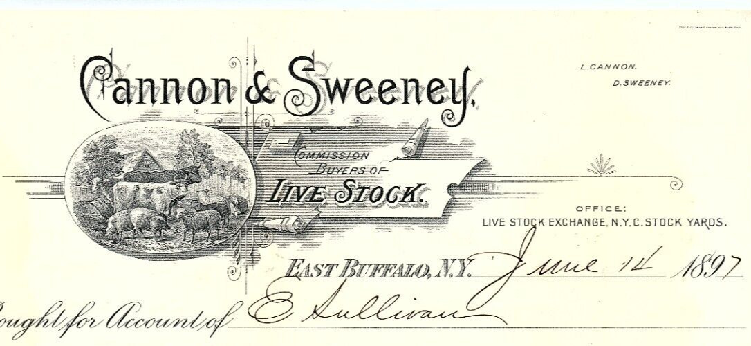 1897 EAST BUFFALO NY CANNON & SWEENEY BUYERS OF LIVESTOCK BILLHEAD INVOICE Z4070