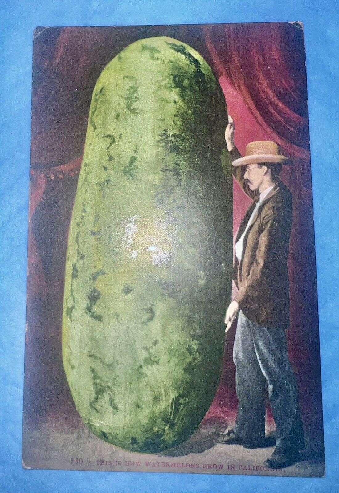 Vintage California Postcard - This is How Watermelons Grow in California