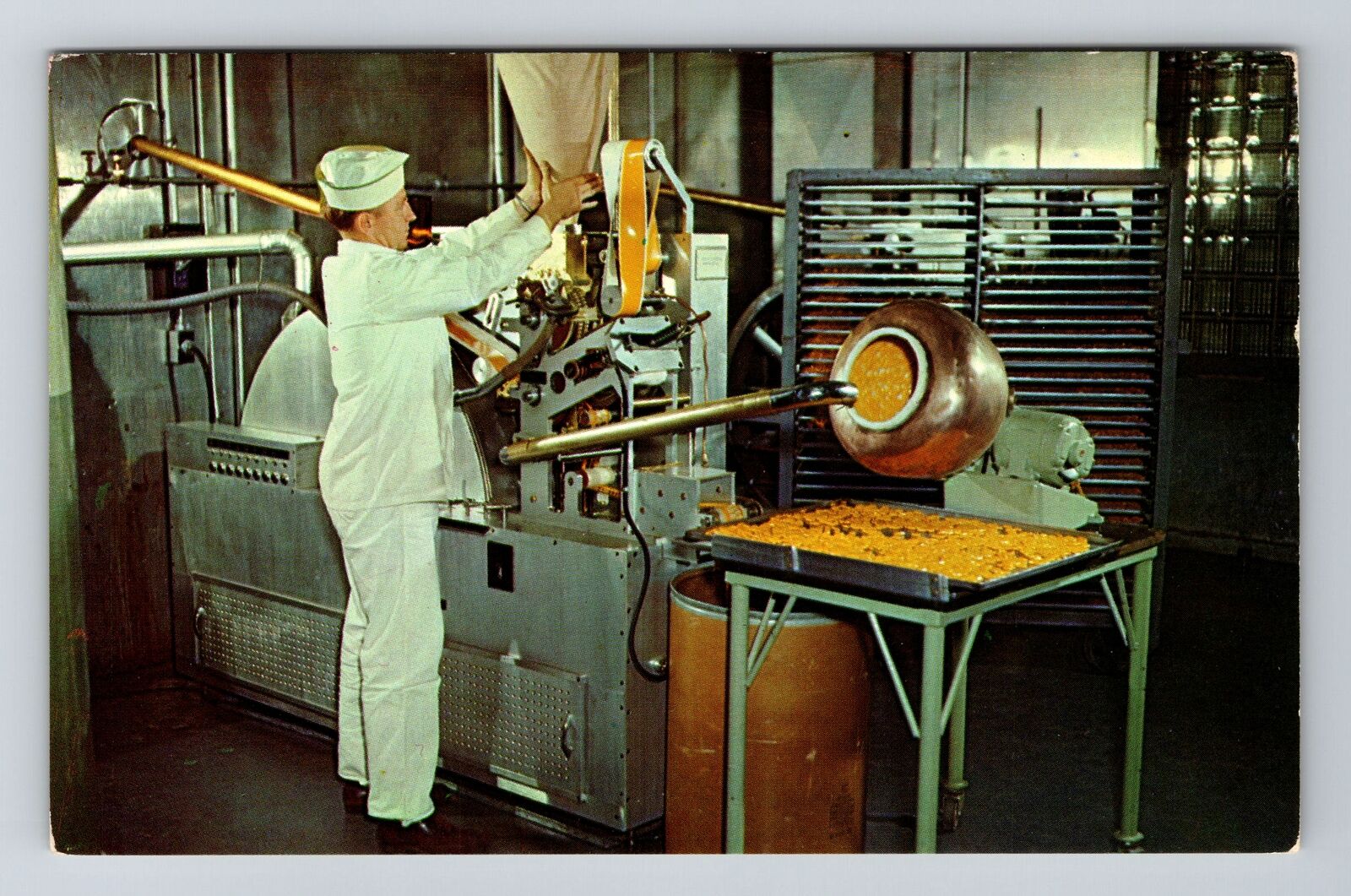 Pearl River NY-New York, Lederle Laboratories, Cyanamid Vintage Postcard
