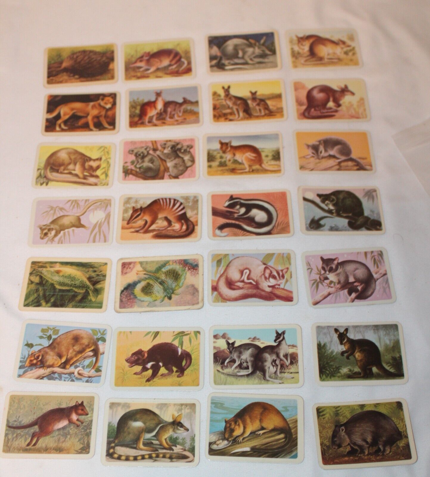 Tuckfield\'s Australiana Animals Series Cigarette/Tea Trading Cards 28 of 32