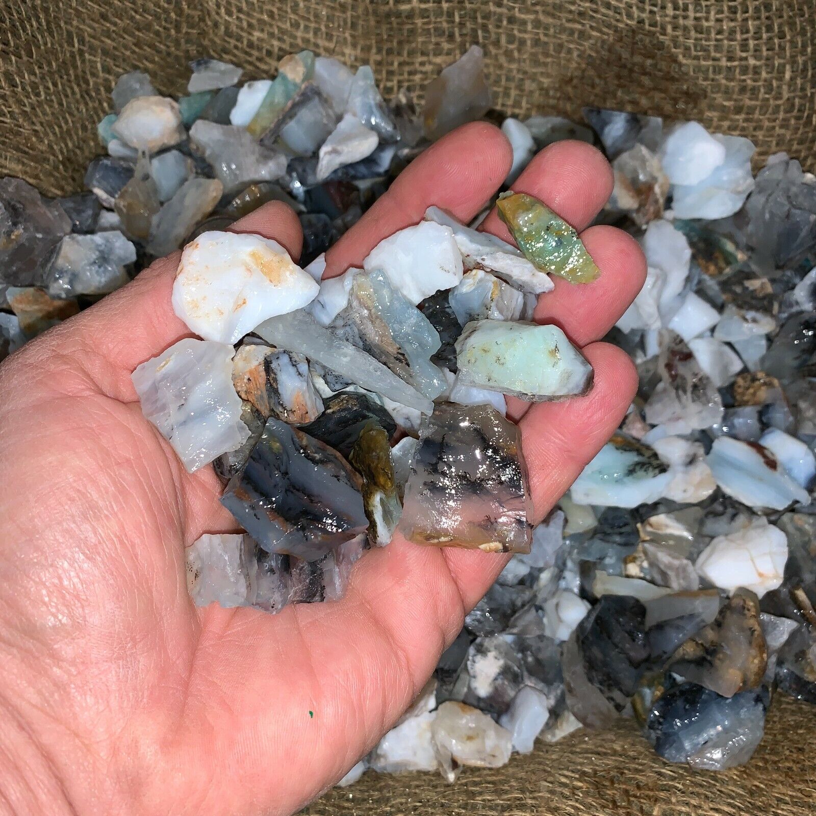 500 Carat Lots of SMALL Blue Opal Rough - Plus a FREE Faceted Gemstone