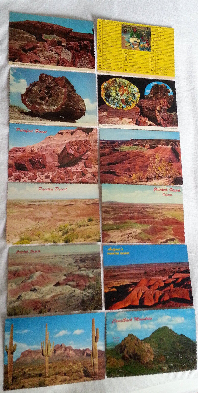 Vintage 50s Petley Studios 12 Arizona Scenic Post Cards RPPC Deckled Scalloped 