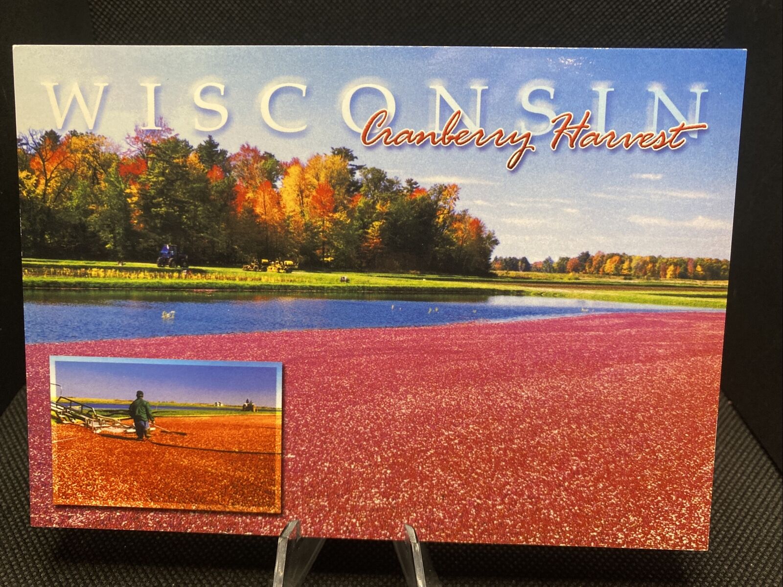 POSTCARD: Wisconsin Cranberry Harvest F19￼