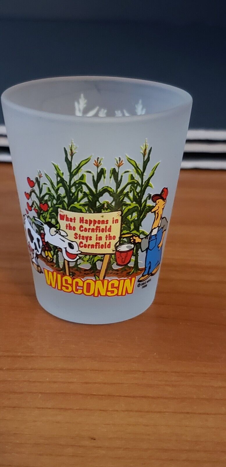 Wisconsin Shot Glass Funny Humor Souvenir 