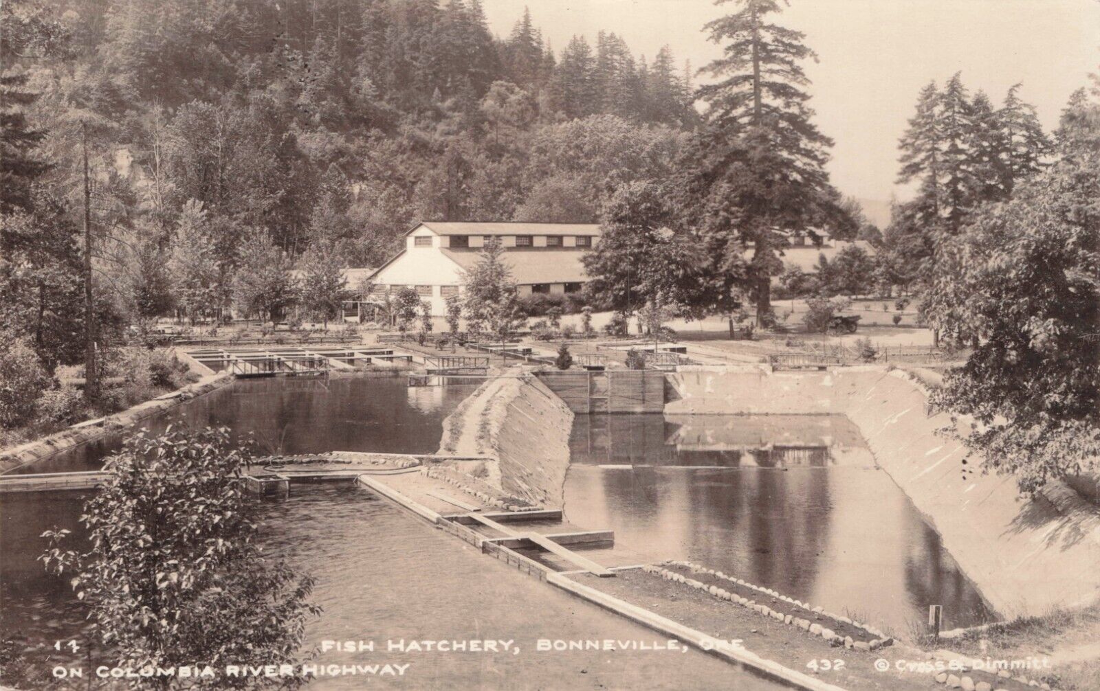 RPPC Bonneville OR Oregon Fish Hatchery Cross & Dimmit Real Photo Postcard 1930s