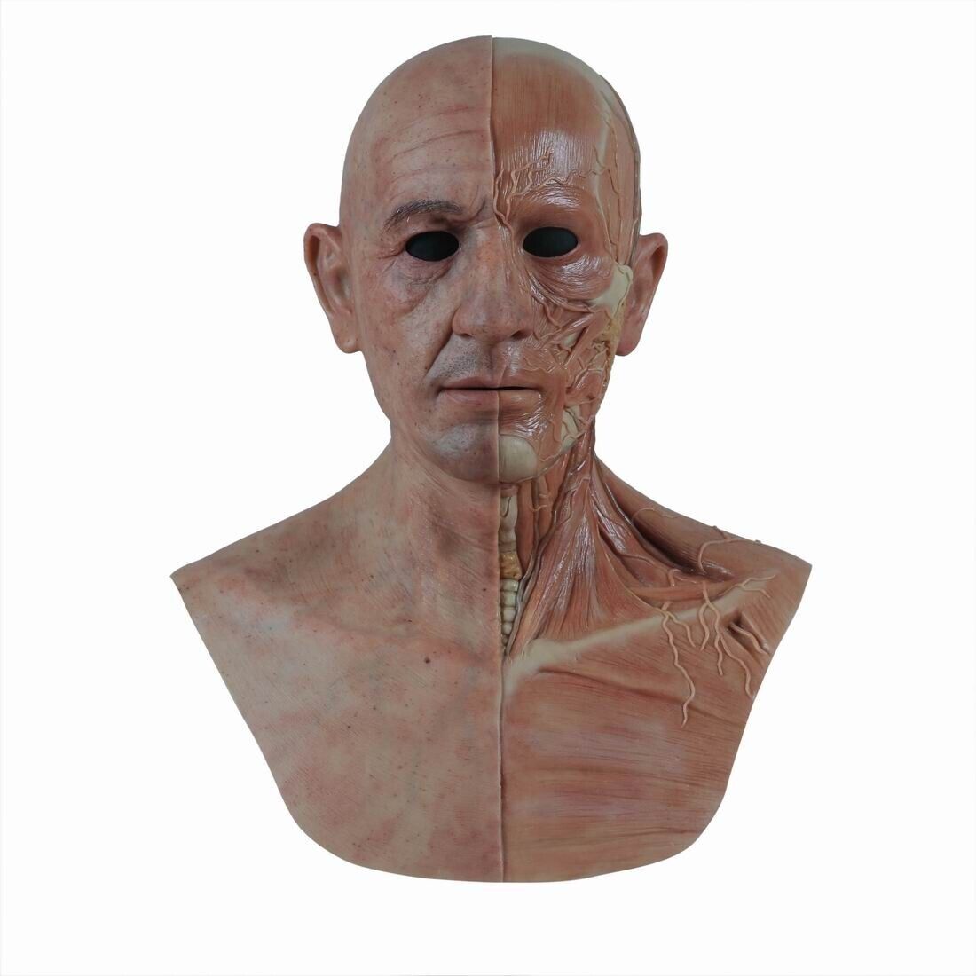 Simulated human anatomy silicone mask /anatomy structure mask / double-sided