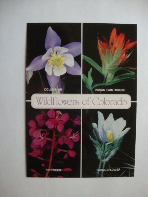 Railfans2 972) Postcard, Colorado Flower, Columbine, Indian Paintbrush, Fireweed