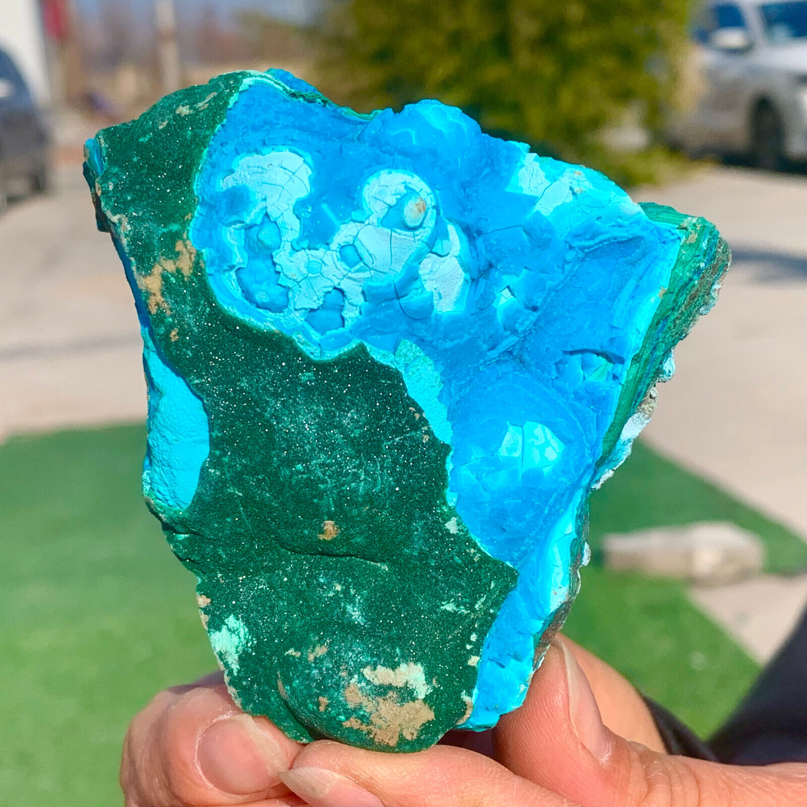 172G    Natural chrysocolla/Malachite transparent cluster rough mineral sample